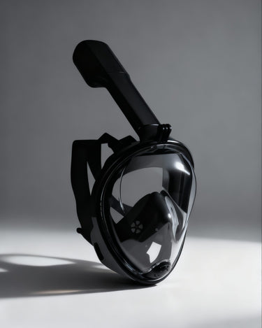 Snorkel Mask
