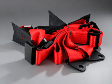 4-Point Harness